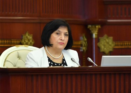 Milli Məclisin sədri Sahibə Qafarovanın parlamentin 7 may tarixli plenar iclasında çıxışı